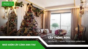 nguồn gốc ý nghĩa cây thông noel