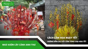 anh dai dien ccat cach cam hoa ngay tet