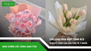 anh dai dien ccat cac loai hoa dep tang 8 3