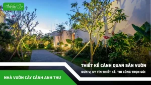 anh dai dien ccat cong ty thiet ke canh quan san vuon