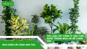 anh dai dien ccat 2