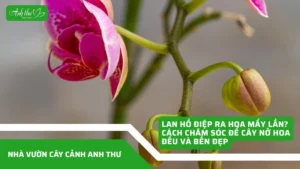 anhdaidien1 1 1