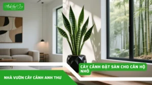 anhdaidien1 3