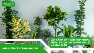 anhdaidien1