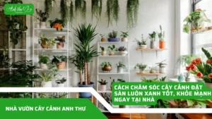anhdaidien2 1