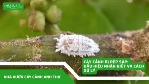 anhdaidien1 8