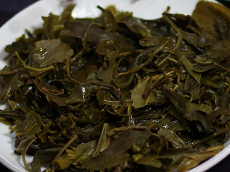 Bã chè xanh bón cây có tốt không? 2 Vì sao không nên đổ bã chè tươi ướt trực tiếp vào gốc cây?