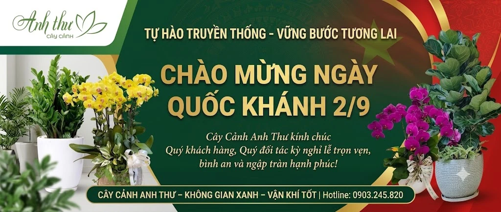 cay canh anh thu chao mung quoc khanh 2 thang 9