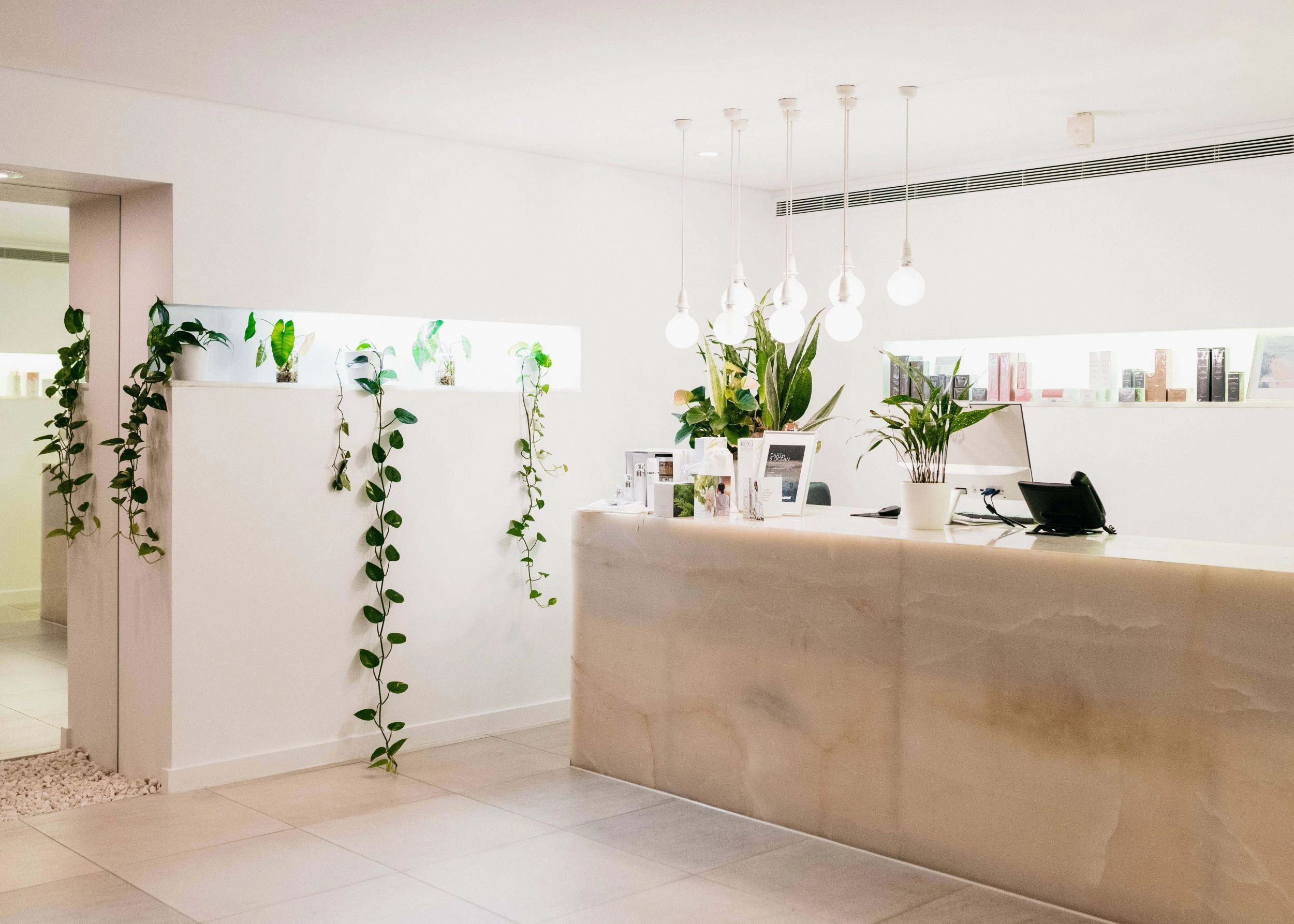Vì sao nên sử dụng cây cảnh để trang trí không gian spa?