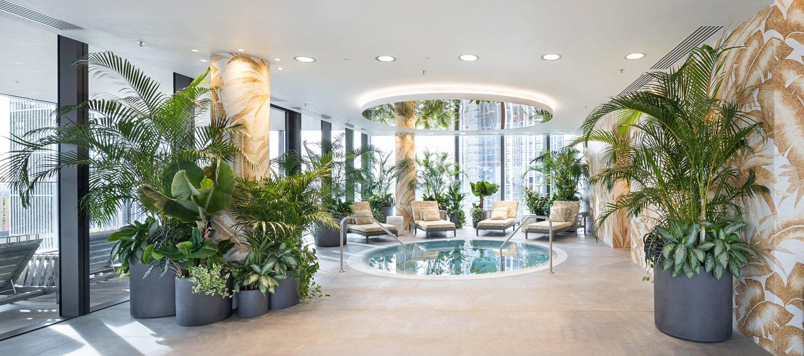 Lưu ý khi chọn và chăm sóc cây cảnh cho spa