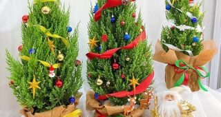 Hướng dẫn cách trang trí cây tùng thơm Noel 2022 đẹp lung linh